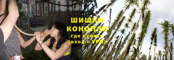 каннабис Алексеевка