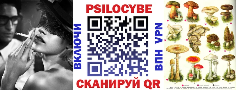 Галлюциногенные грибы Cubensis Королёв
