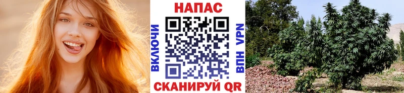 Бошки марихуана Ganja  Королёв 